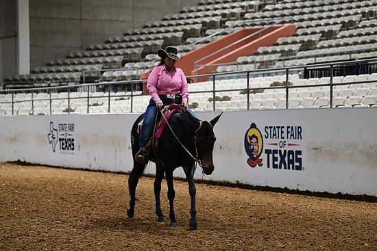 2021 State Fair of Texas-Miniature Donkey, Mule & Donkey Shows