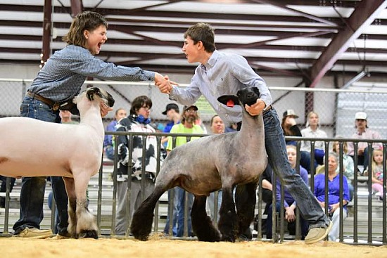 2022 Ellis County Livestock Show