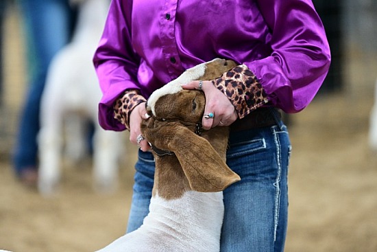 2023 Northeast Texas Livestock Association
