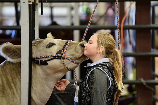 2019 Cooke County Jr Livestock Show