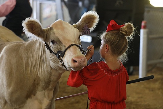 2019 North Texas State Fair