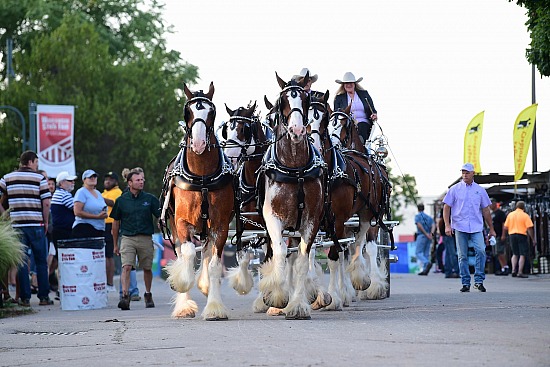 2019 Wisconsin State Fair