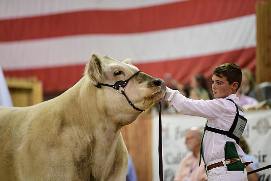 2019 California State Fair