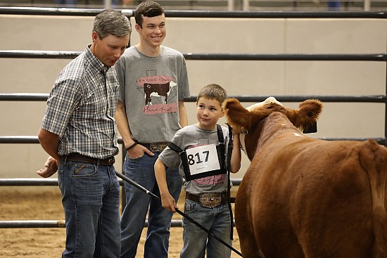 2019 Texas Junior State Hereford Show