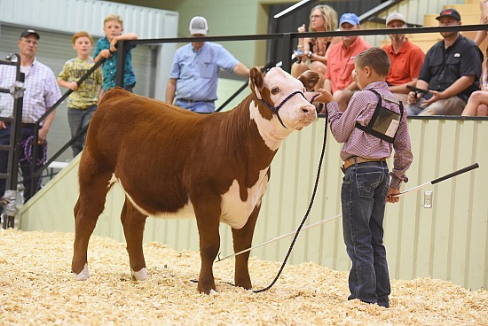 2019 Panhandle Parade of Breeds