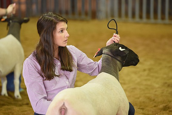 2019 Denton County Youth Fair