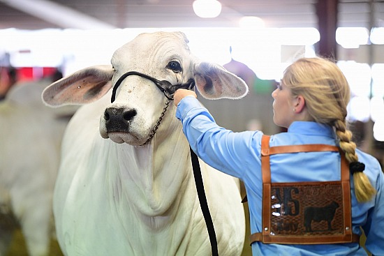 2019 Wharton County Youth Fair