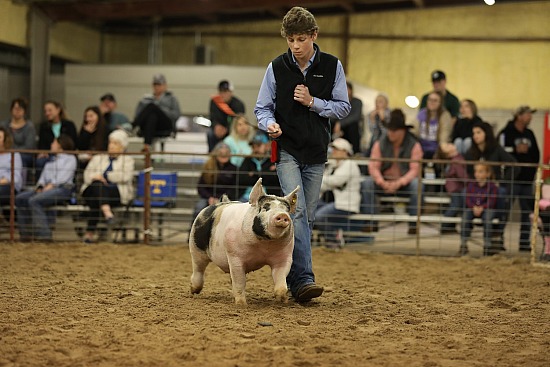 2019 Guadalupe County Jr Livestock Show