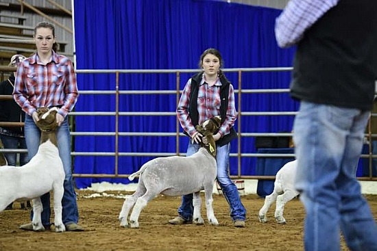 2020 Texoma Expo & Livestock Show