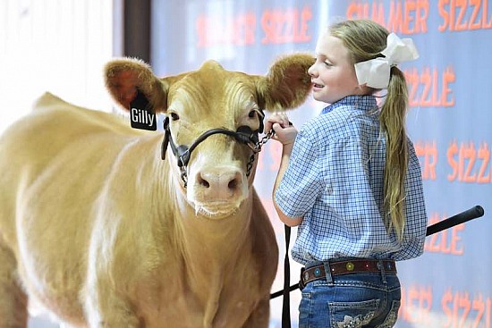 2020 Summer Sizzle Steer & Heifer Show