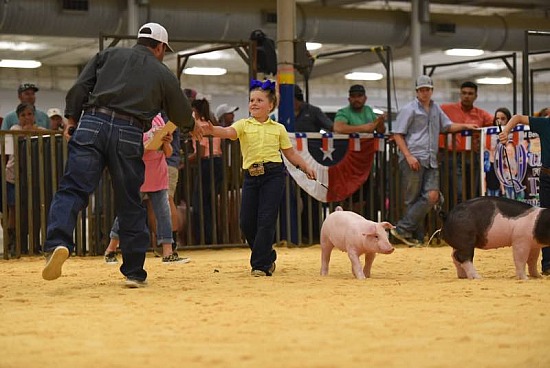 2020 Don't Mess with Texas Breeding Gilt 