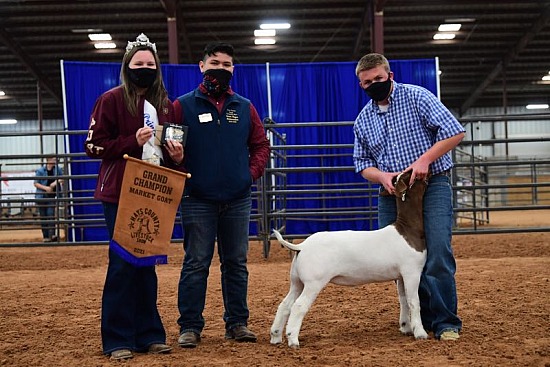 2021 Hays County Youth Fair