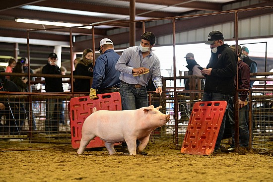 2021 Guadalupe County Youth Fair