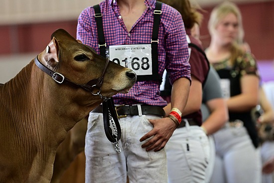 2021 Wisconsin State Fair