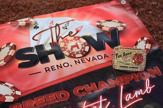 2022 The Show Reno