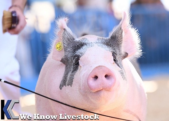 2022 California State Fair