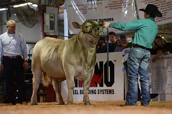 2022 Denton County Youth Fair