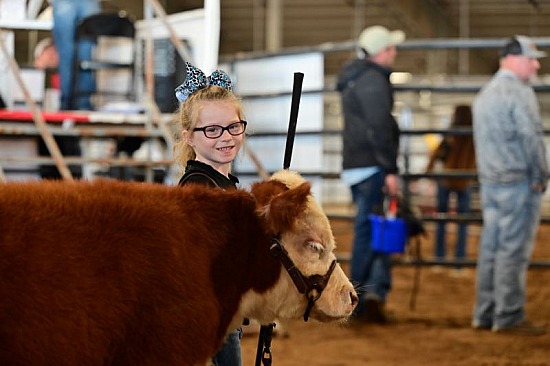 2023 Cisco Fall Classic Cattle Show