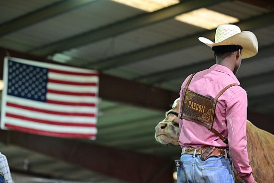 2024 Wharton County Youth Fair